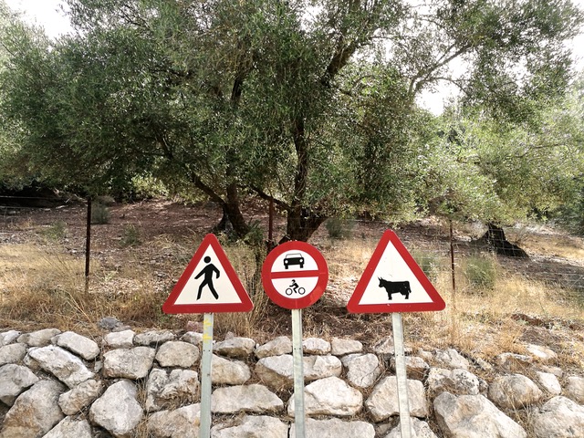 Now, this signage is pretty clear. Camino leaving Jimera de Líbar